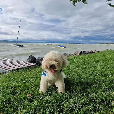 Boni Nyaralohaz 公寓 Balatonboglár